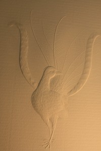 sculptured emboss, guinea fowl